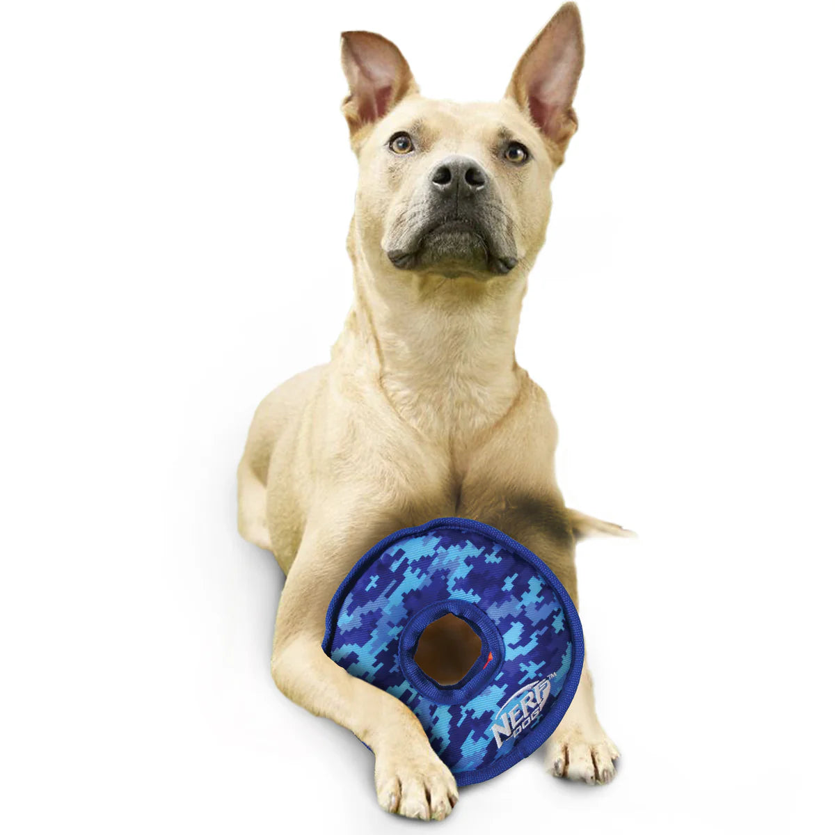 NERF DOG TOY – Toss & Tugg Ring