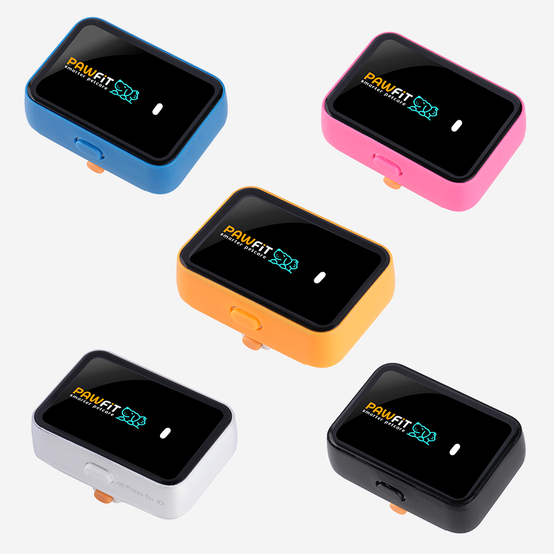 Pawfit 3 Case Black-1869883043318206464