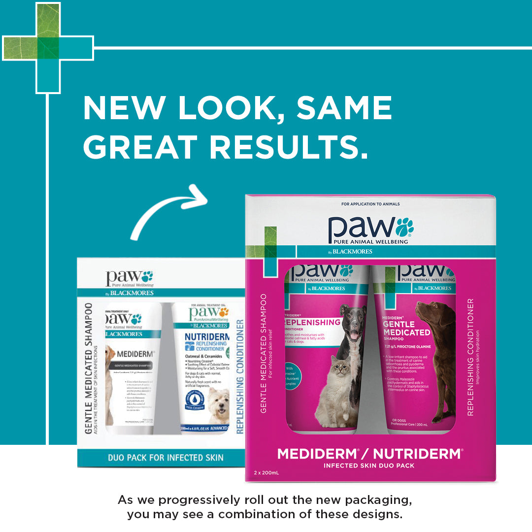 Blackmores: Paw – Infected Skin Duo Pack Shampoo & Conditioner