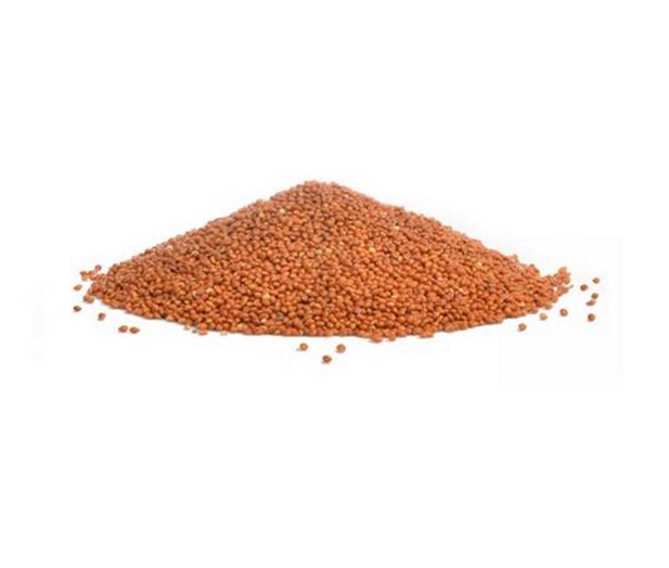 Falcon Seeds – Red Panicum _ Bird Seed Mix 2kg