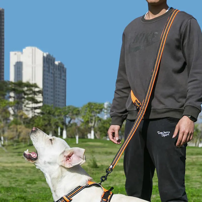 7 in 1 Multi Function leash - Blue