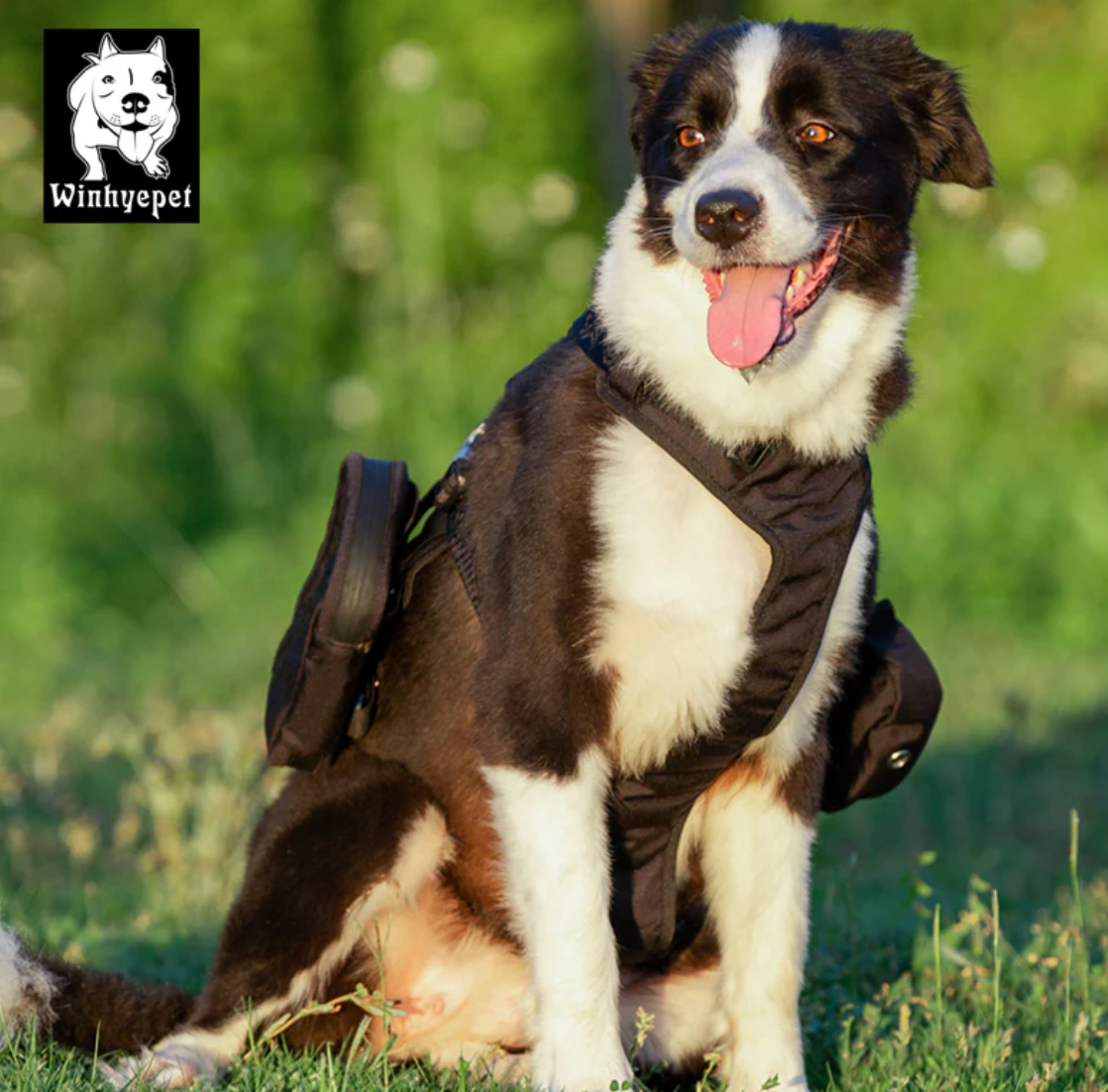 Whinhyepet Military Harness