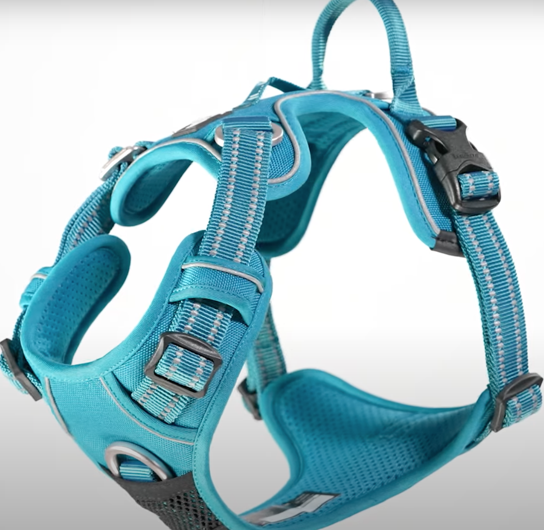 No Pull Explosion Proof Dog Harness - Blue