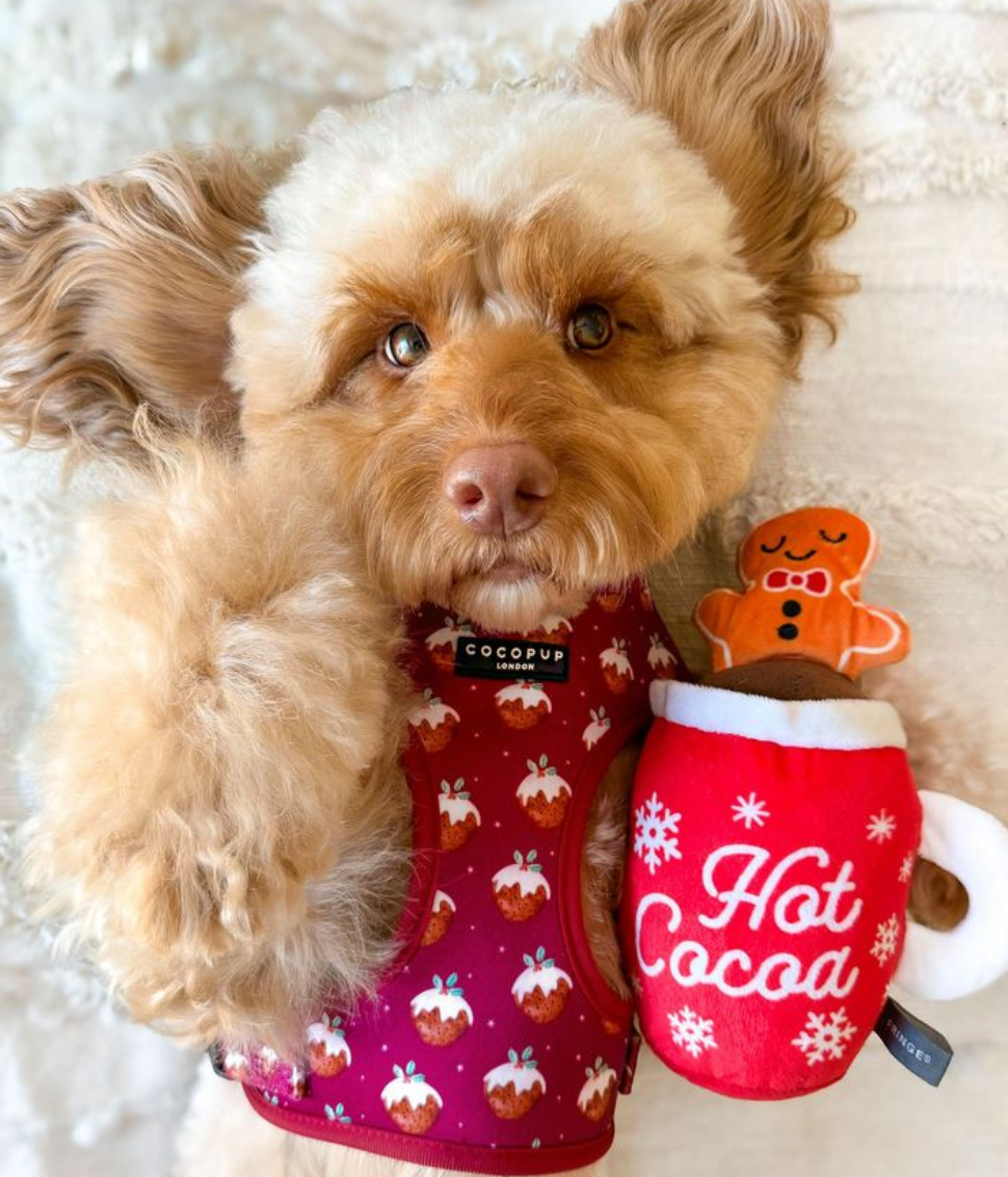 Cocopup London – Adjustable Neck Harness – Woofmas Pudding