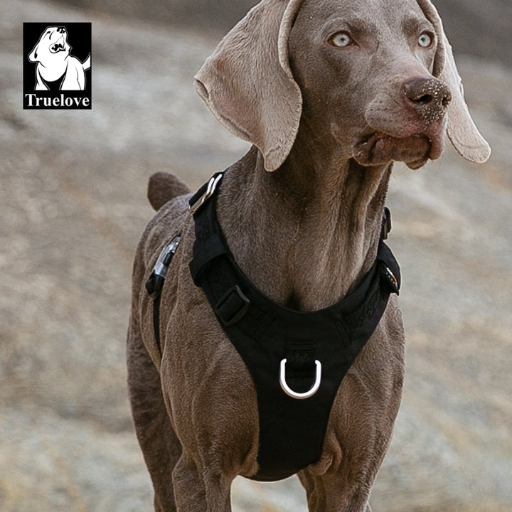 Lightweight Reflective Dog Harness - Black