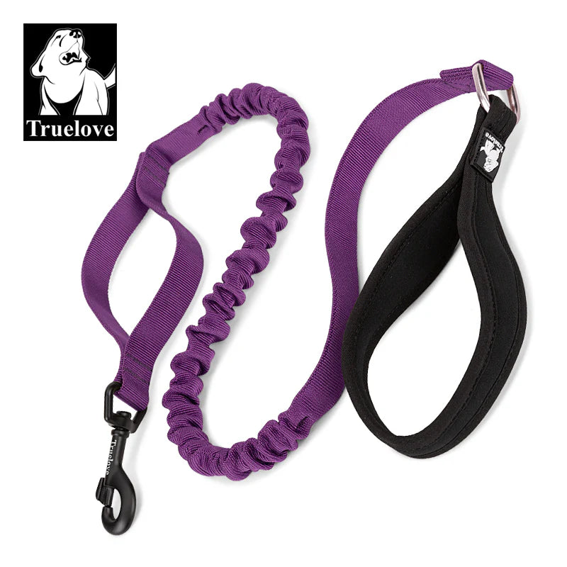 Bungee Dog Leash With Soft Padded Handle - Purple
