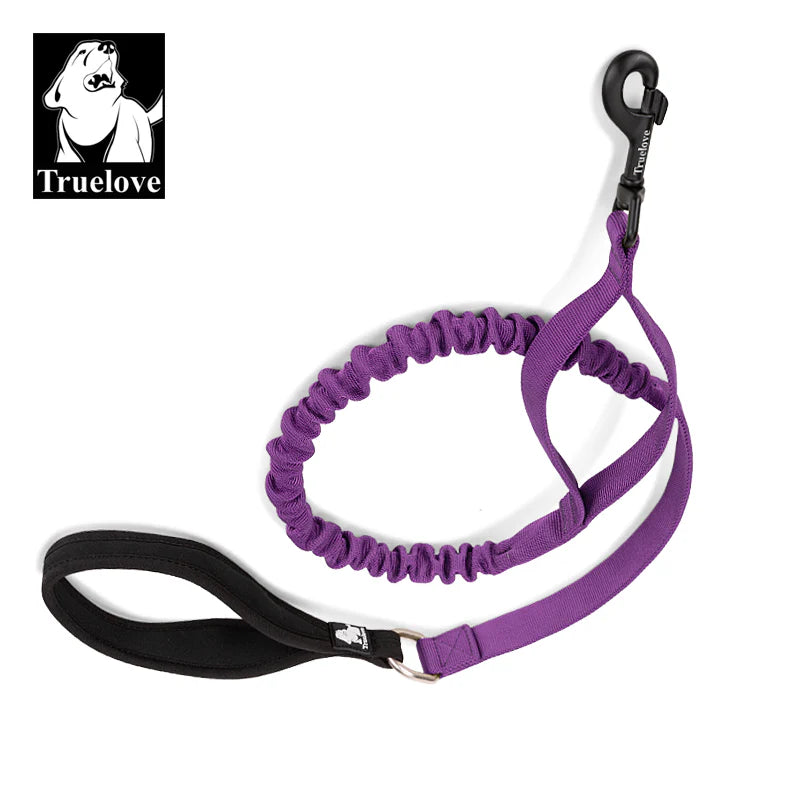 Bungee Dog Leash With Soft Padded Handle - Purple