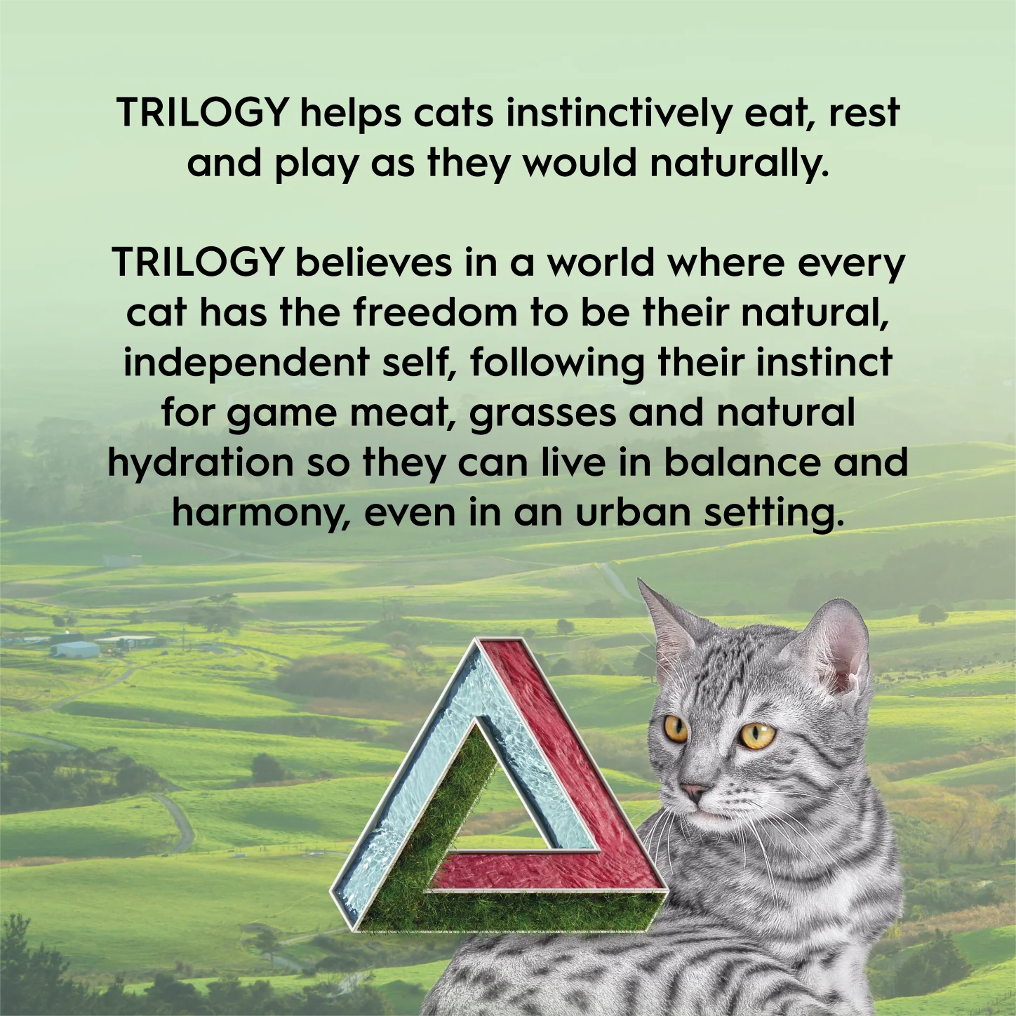 Trilogy – Freeze Dried Cat Treats