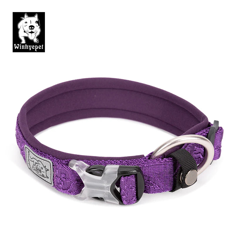 The Trailblazer Reflective Dog Collar – Purple