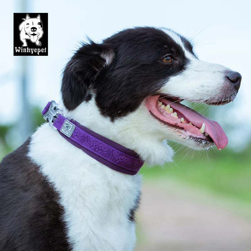 The Trailblazer Reflective Dog Collar - black