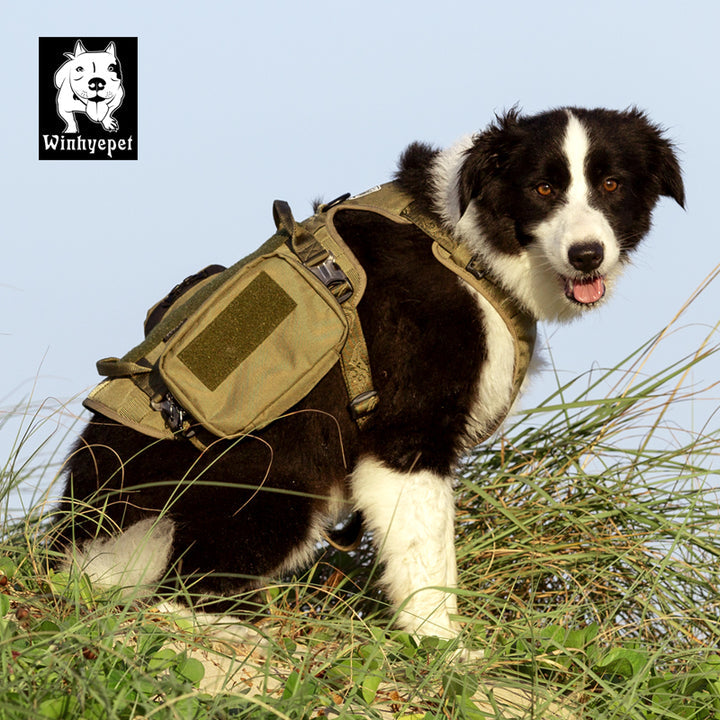 Whinhyepet Military Harness