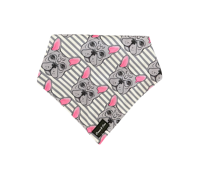 French Bulldog Dog Bandana Set – Matching Pet Accessories