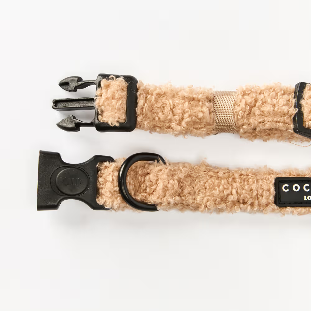 Cocopup London – Dog Collar – Teddy Rupert