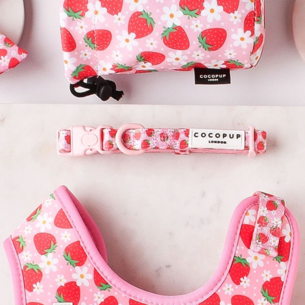 Cocopup London – Dog Collar – Pupberry Fields