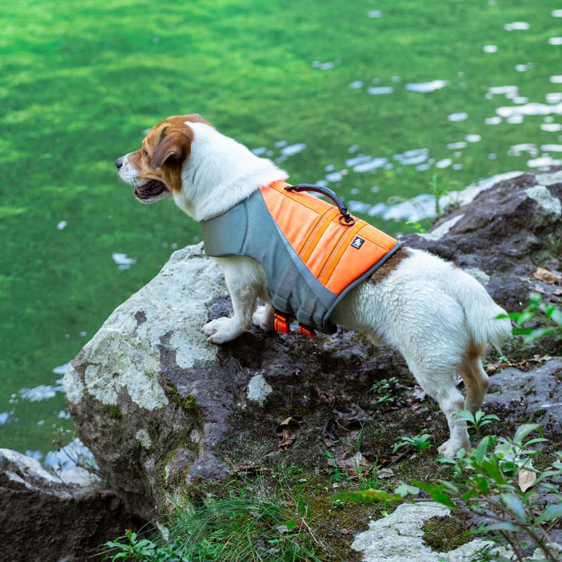 Deluxe Canine Life Vest / Premium Dog Life Jacket for Safety & Visibility - Orange