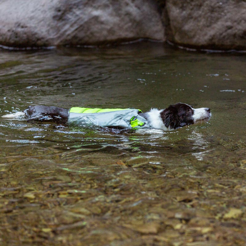 Deluxe Canine Life Vest / Premium Dog Life Jacket for Safety & Visibility - Neon Yellow