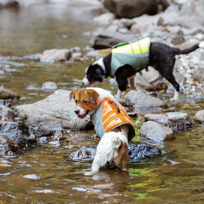 Deluxe Canine Life Vest / Premium Dog Life Jacket for Safety & Visibility - Neon Yellow