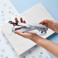 Cocopup London – LUXE Dog Lead – Baby Blue Flower