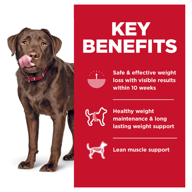 Hill’s – Science Diet – Adult Dog Food  – Perfect Weight – Large Breed