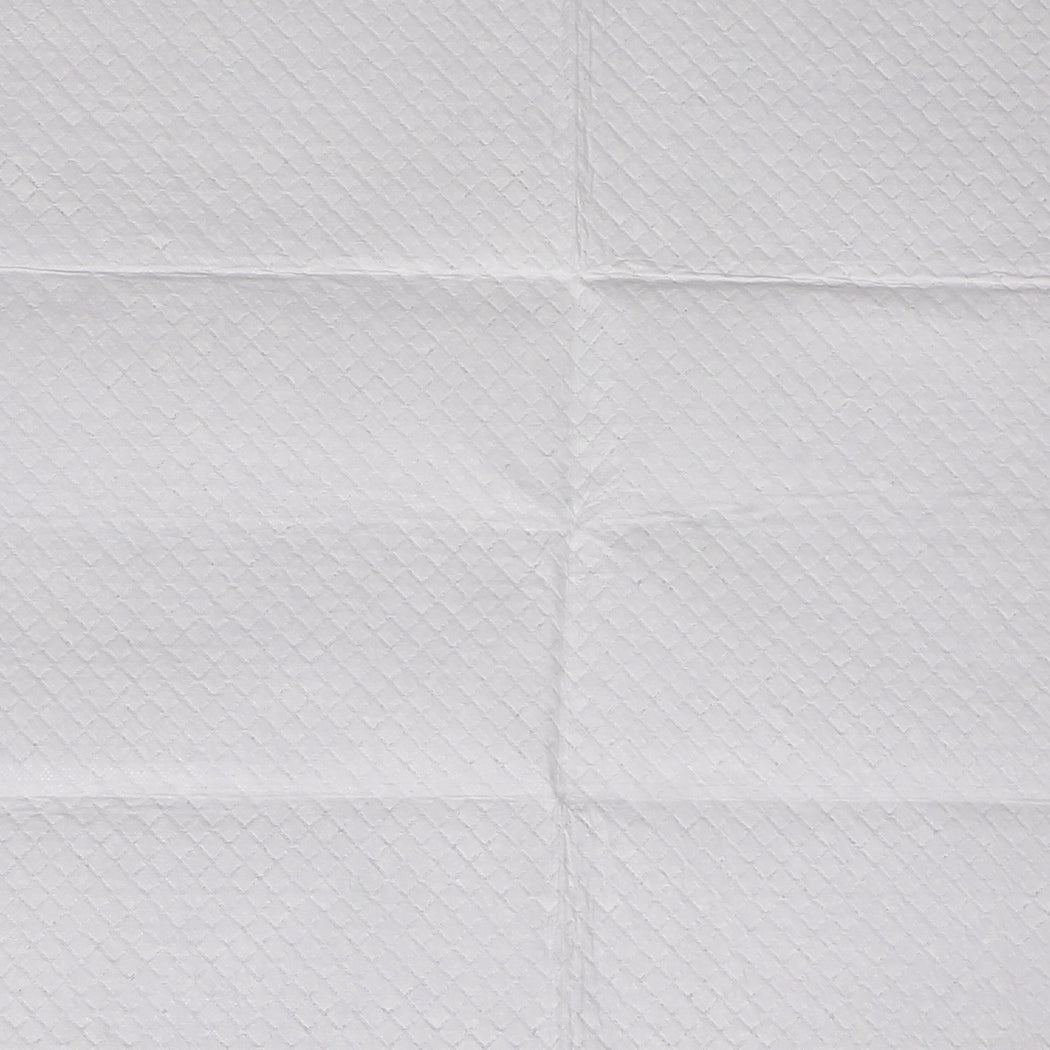 PaWz 100x Pet Dog Toilet Training Pad-1864184552096927749