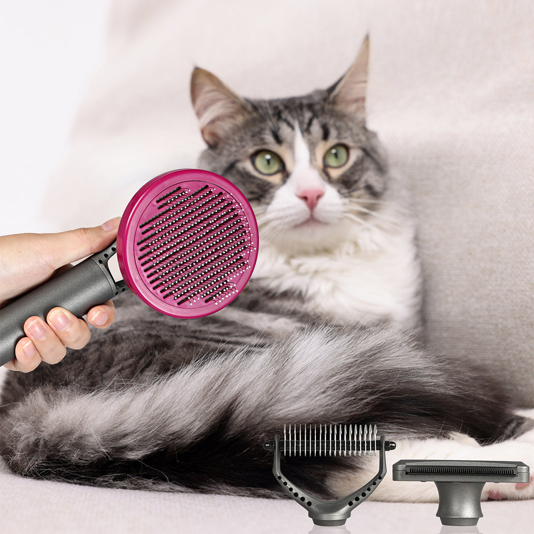 PaWz Pet Grooming Tools-1864184561991290886