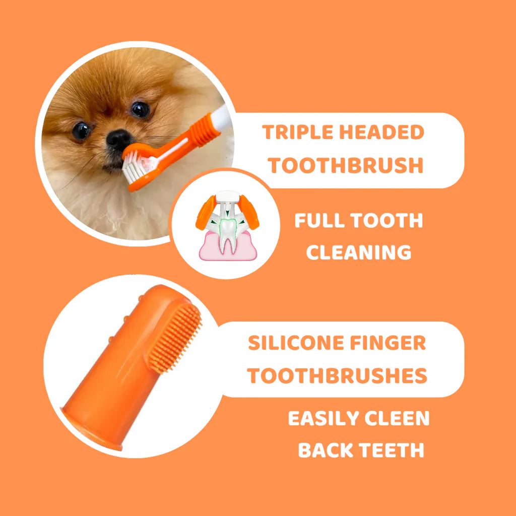 Doggy Toothbrush – Dental Care Kit