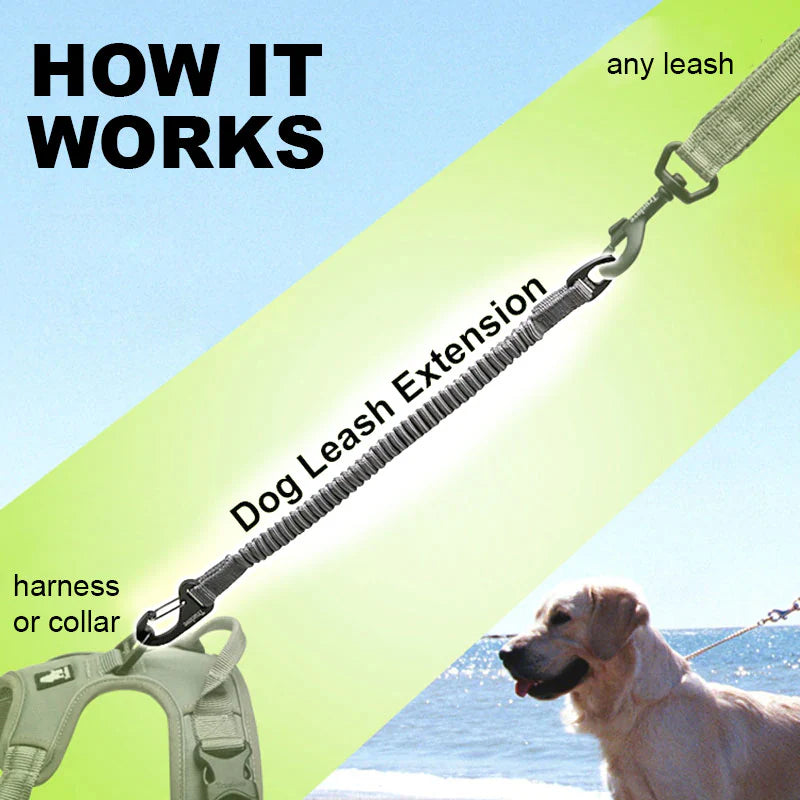 Bungee Dog Leash Extension - Yellow