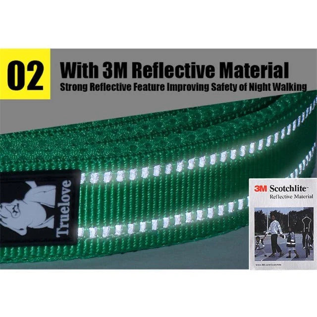 Reflective Pet Leash 2m - Green