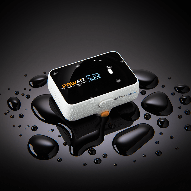 Pawfit 3 Tracker-1869883041959251969