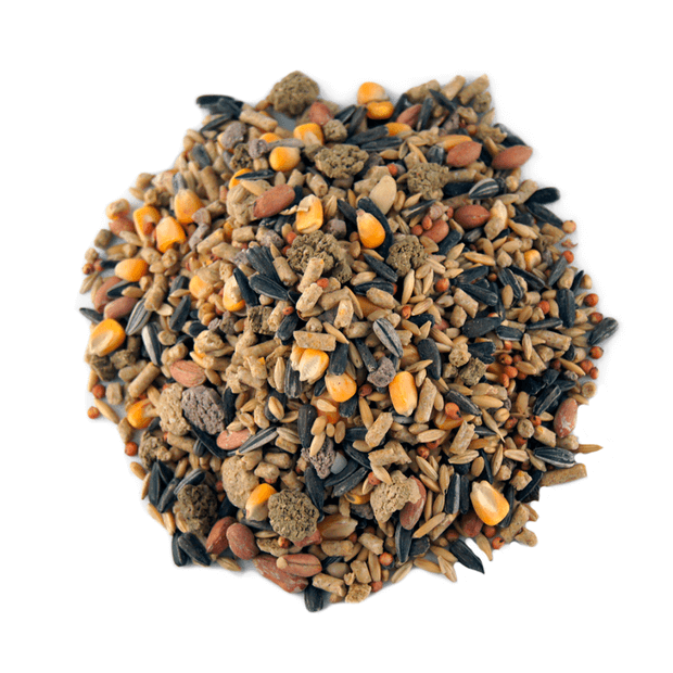 Peckish – Large Parrot Blend Seed Mix