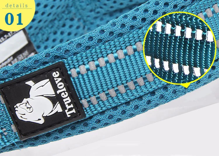 Heavy Duty Reflective Dog Collar - Purple