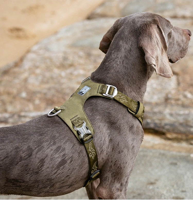 Lightweight Tactical No Pull Dog Harness - Green