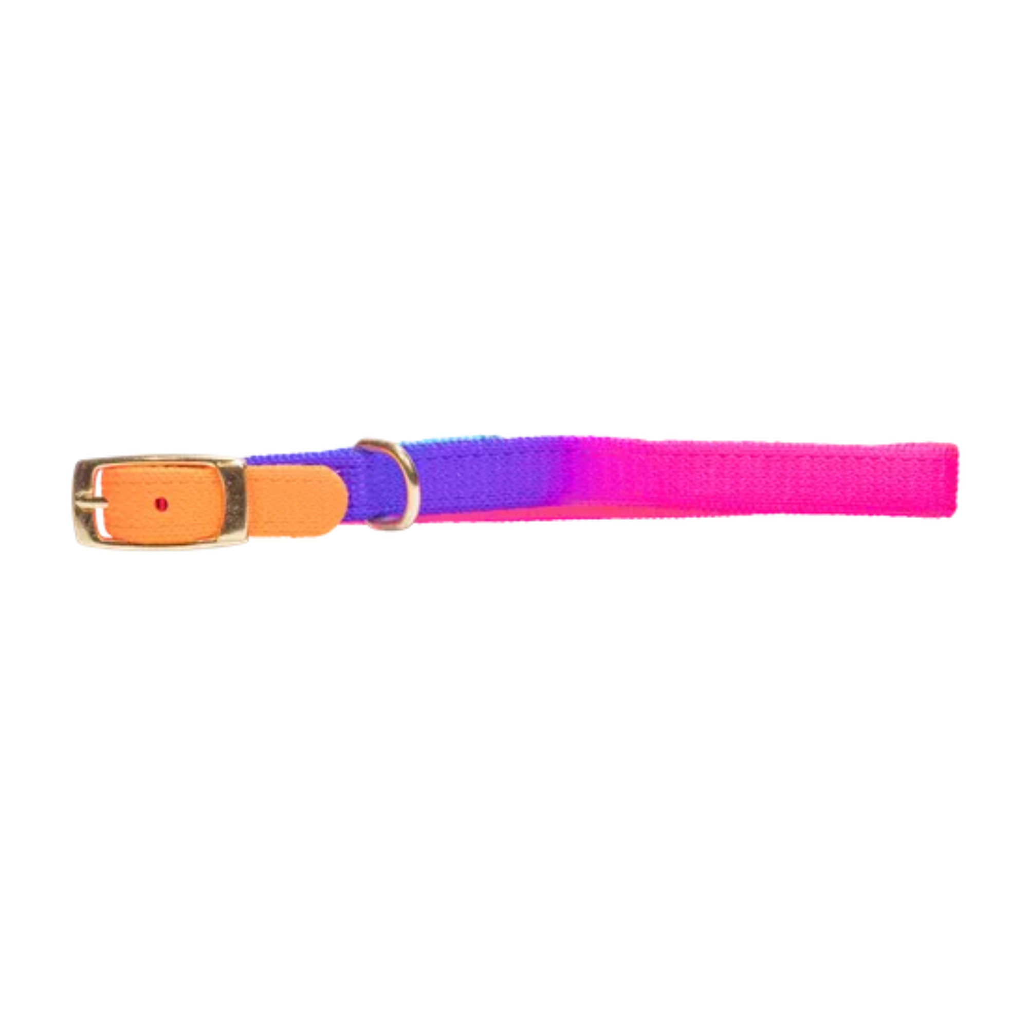 Beau Pets – Puppy Collar – Rainbow