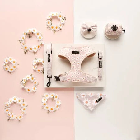 Cocopup London – Dog Lead – Daisy Chain